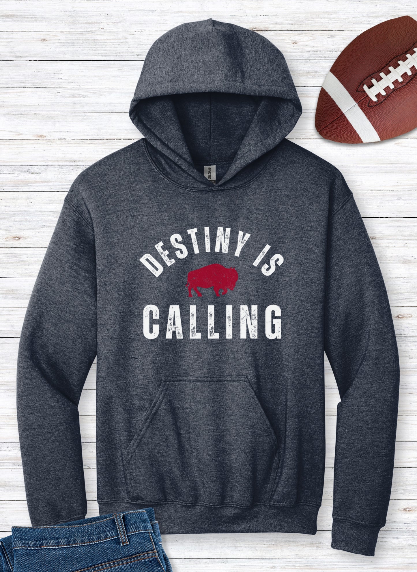 Vintage Distressed "Destiny is Calling" Hoodie