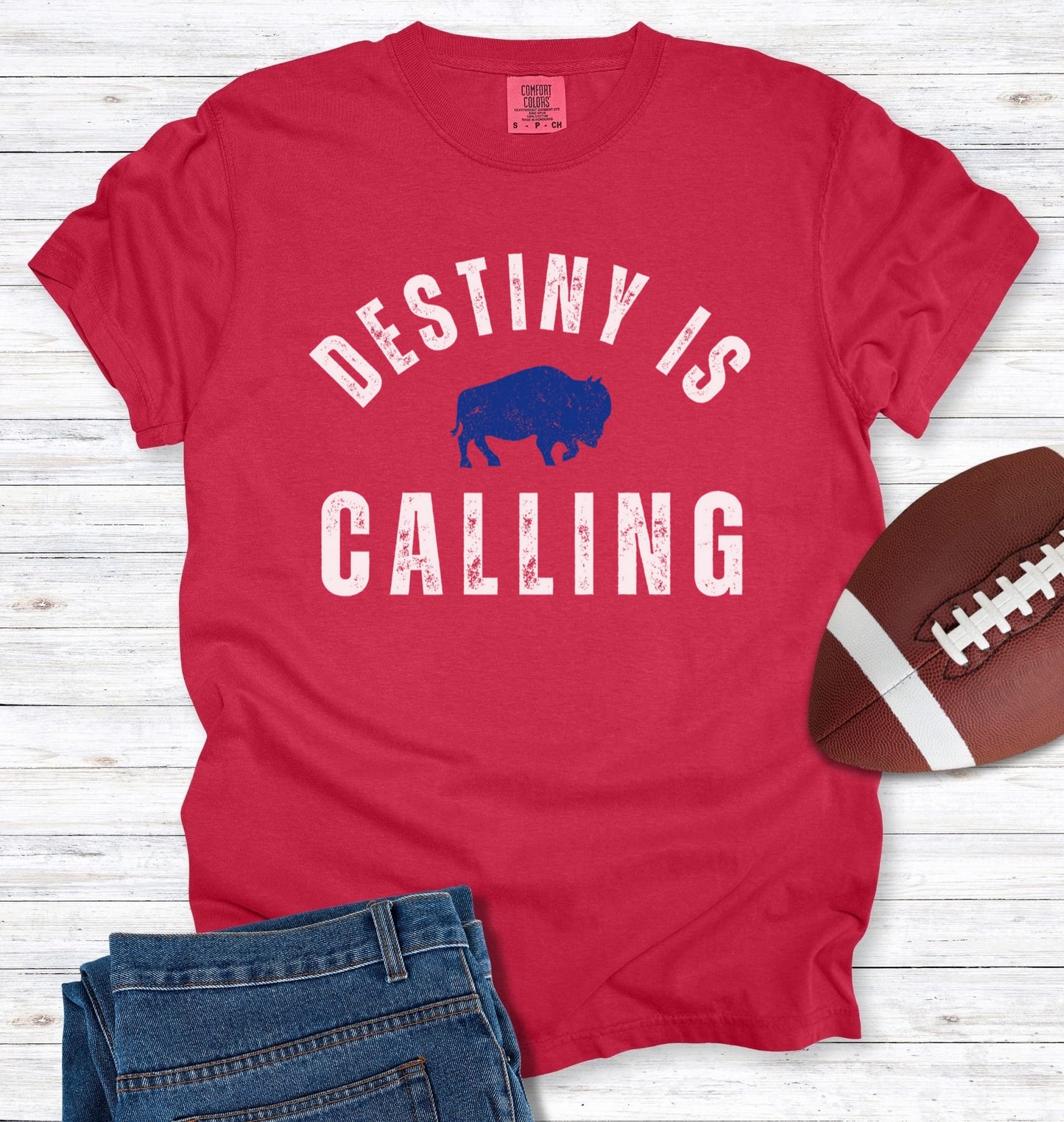 Vintage Distressed "Destiny is Calling" T-Shirt