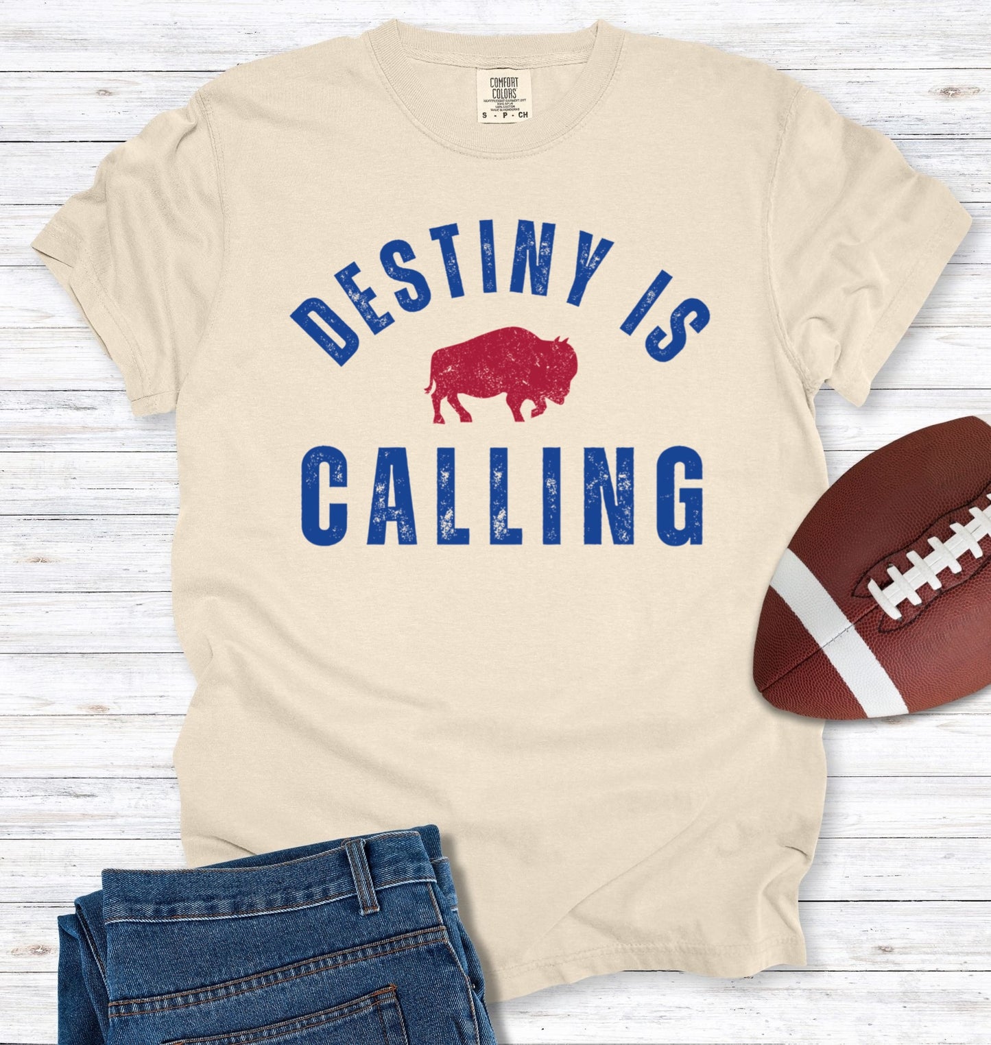 Vintage Distressed "Destiny is Calling" T-Shirt