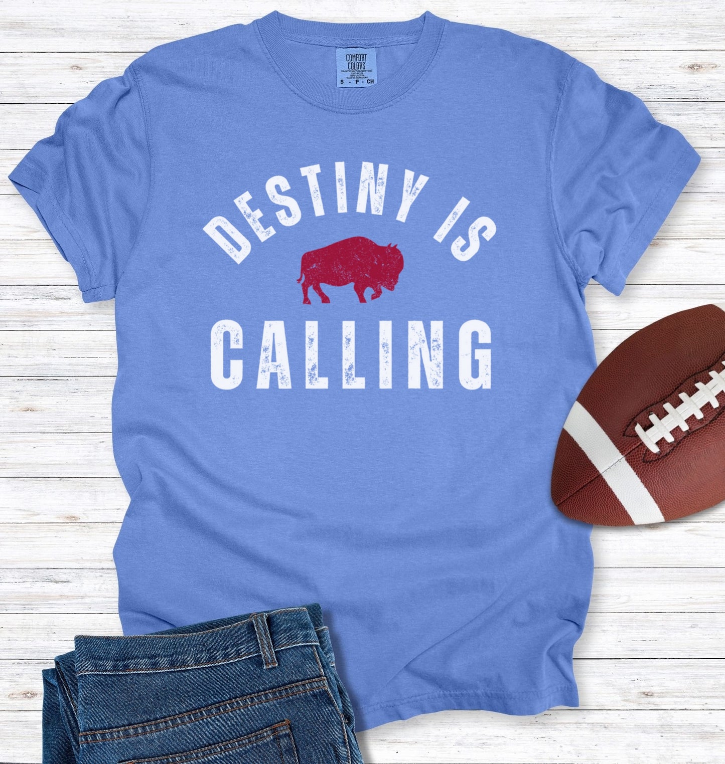 Vintage Distressed "Destiny is Calling" T-Shirt