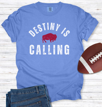 Vintage Distressed "Destiny is Calling" T-Shirt