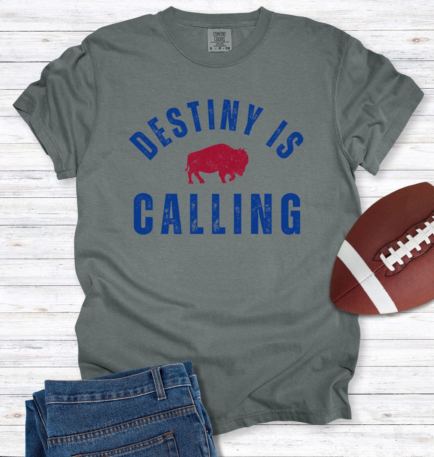 Vintage Distressed "Destiny is Calling" T-Shirt