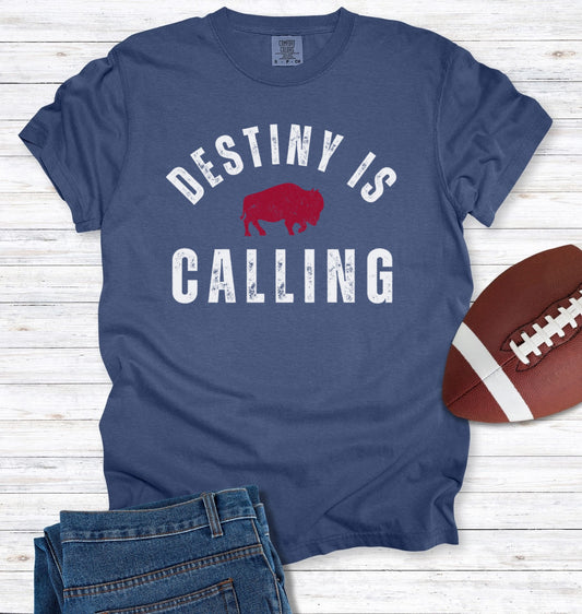 Vintage Distressed "Destiny is Calling" T-Shirt