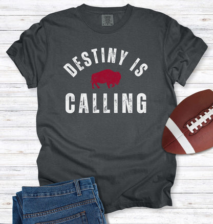 Vintage Distressed "Destiny is Calling" T-Shirt