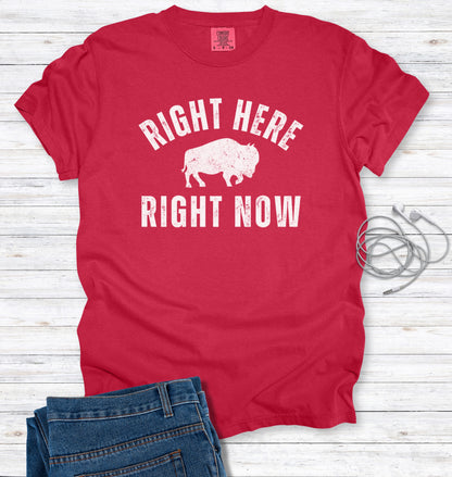 Right Here, Right Now Inspirational Quote Distressed T-shirt