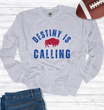 Vintage Distressed "Destiny is Calling" Crew Neck Sweatshirt