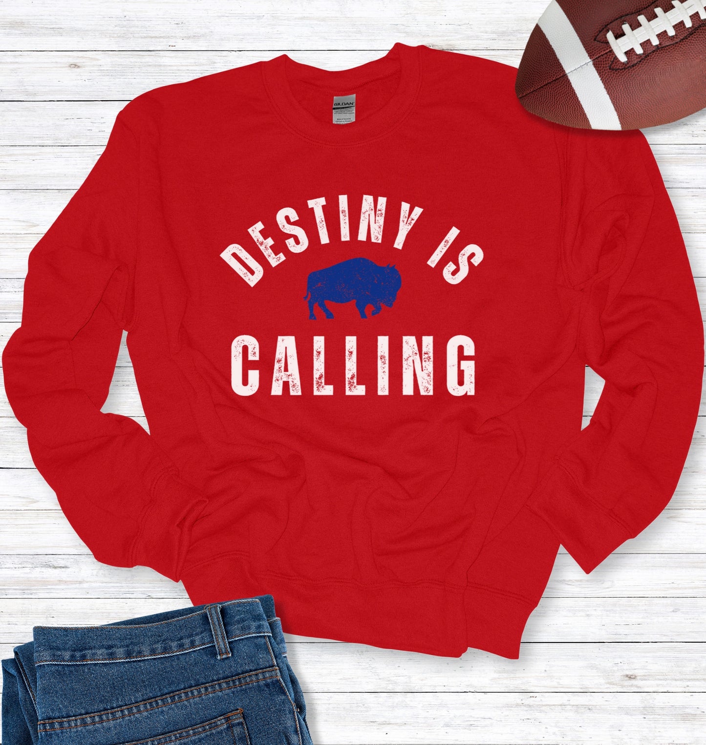 Vintage Distressed "Destiny is Calling" Crew Neck Sweatshirt