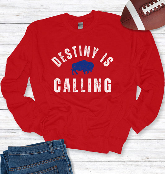Vintage Distressed "Destiny is Calling" Crew Neck Sweatshirt