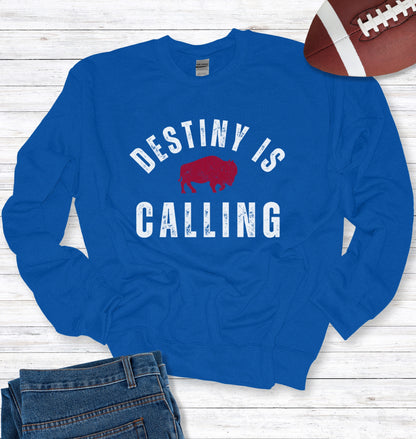 Vintage Distressed "Destiny is Calling" Crew Neck Sweatshirt