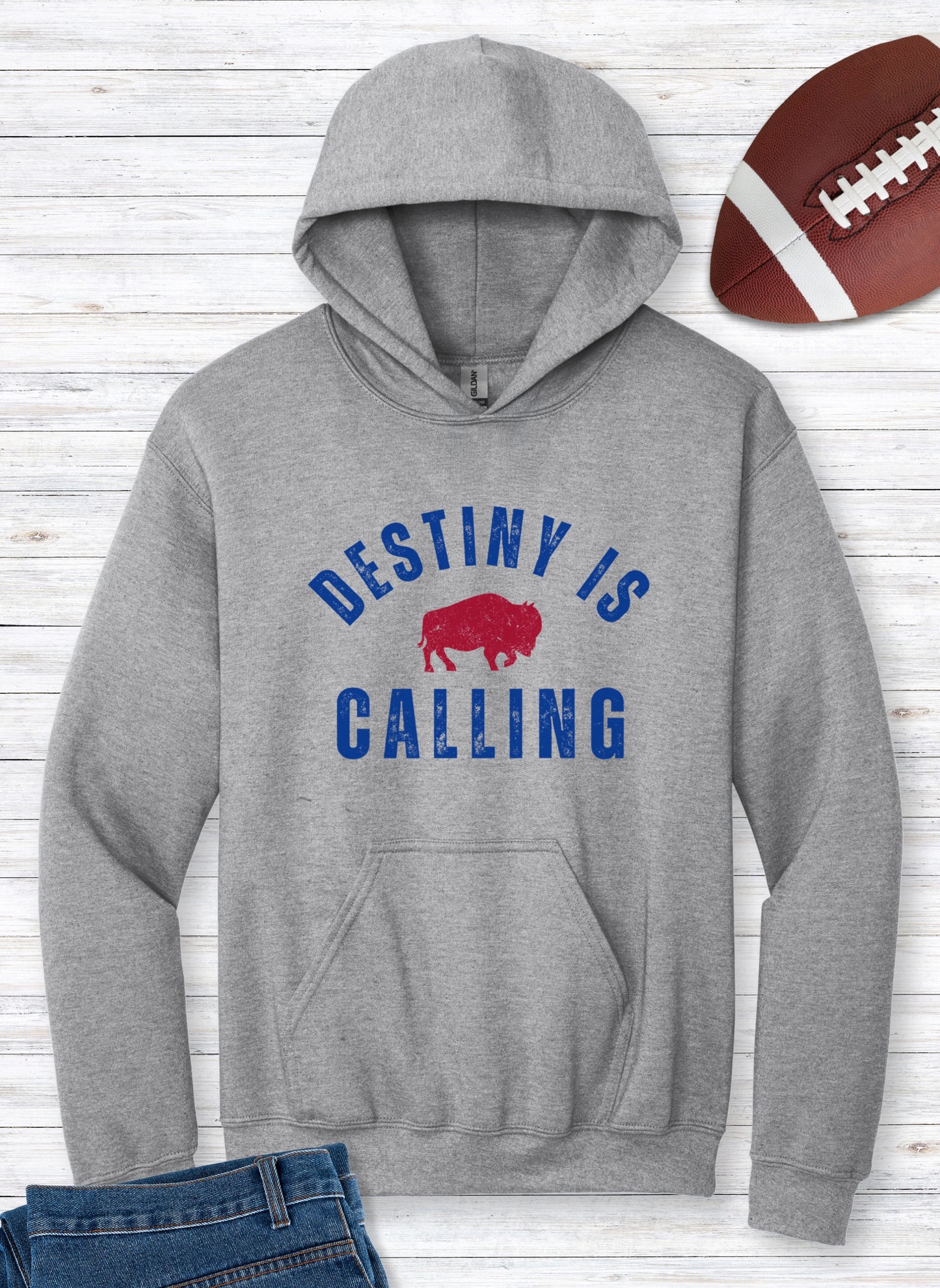 Vintage Distressed "Destiny is Calling" Hoodie