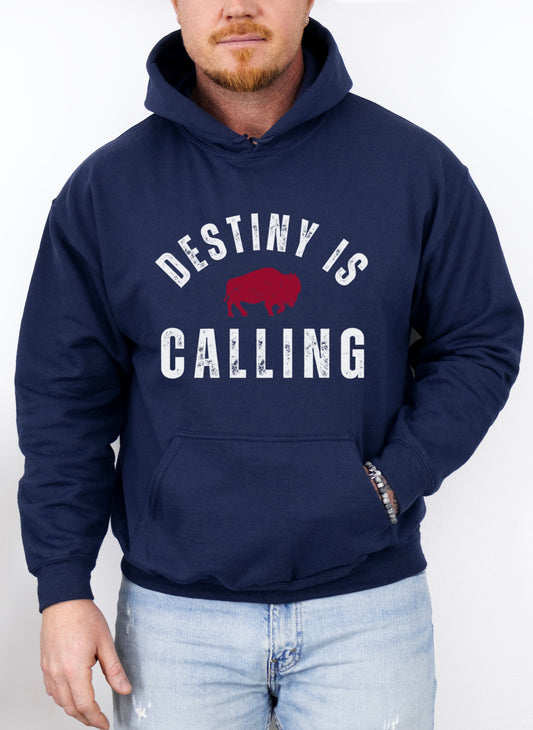 Vintage Distressed "Destiny is Calling" Hoodie
