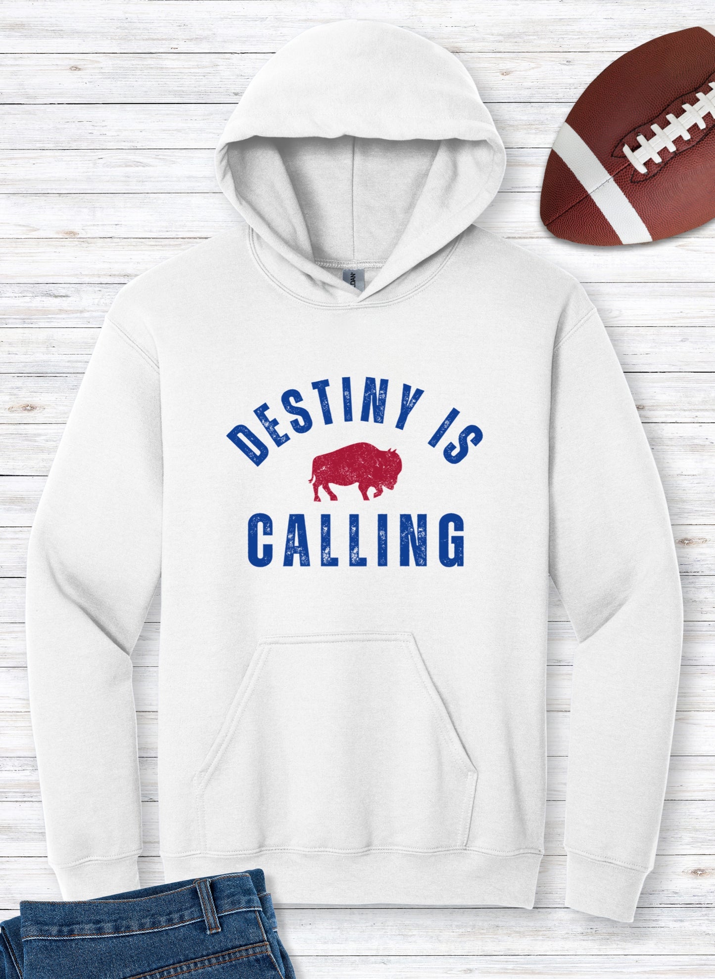 Vintage Distressed "Destiny is Calling" Hoodie