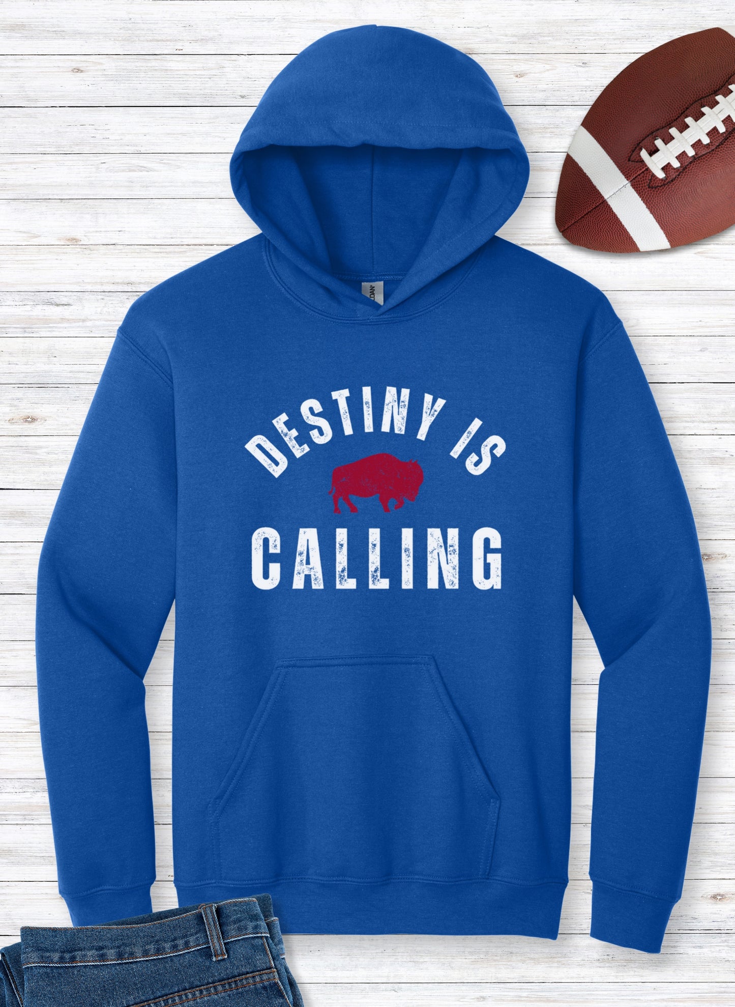 Vintage Distressed "Destiny is Calling" Hoodie