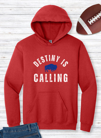 Vintage Distressed "Destiny is Calling" Hoodie