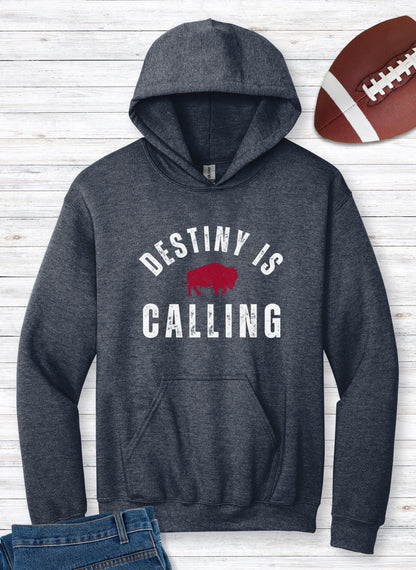 Vintage Distressed "Destiny is Calling" Hoodie