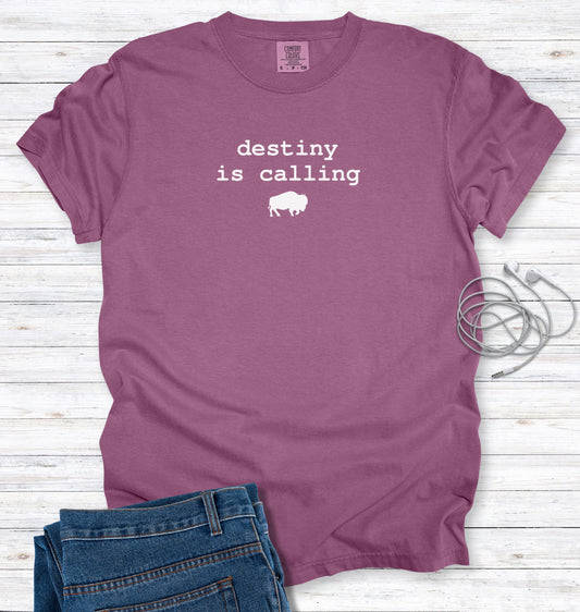 Destiny is Calling Understated Buffalo T-shirt