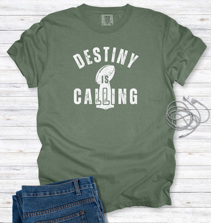 Destiny Calling Buffalo