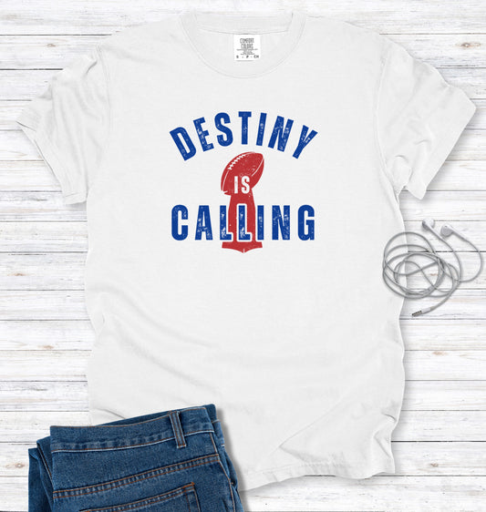 Destiny Calling Buffalo